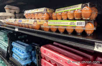 1.5 million eggs produced in Texas recalled for Salmonella
