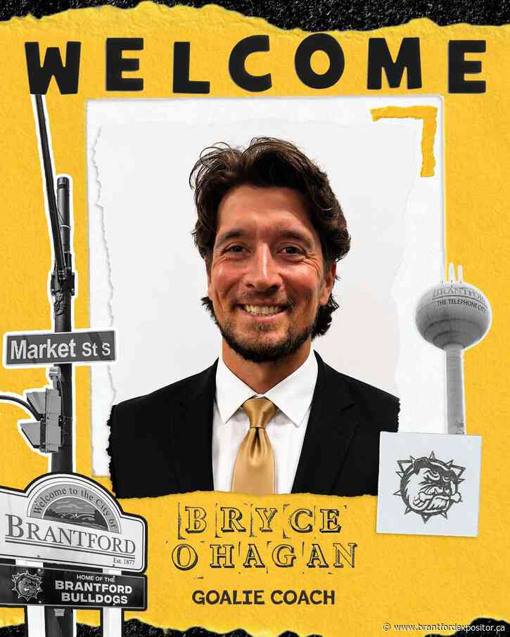Golden Eagles alum joins Brantford Bulldogs staff