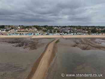 Essex beach tragedy LIVE: Mother and teenage daughter from east London drown in day-trip horror