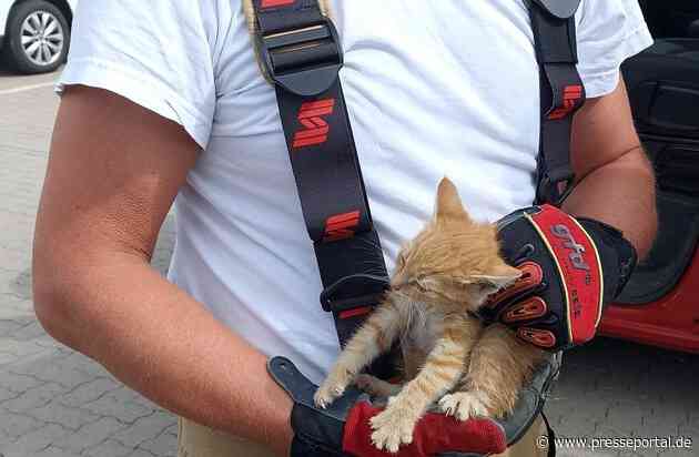 POL-NB: Kleine Katze im Glück - Polizei und Feuerwehr retten rotes Kätzchen aus Motorraum