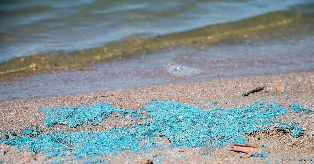 Gesundheitsgefahr: Blaualgen-Warnung für Goldbergsee bei Coburg