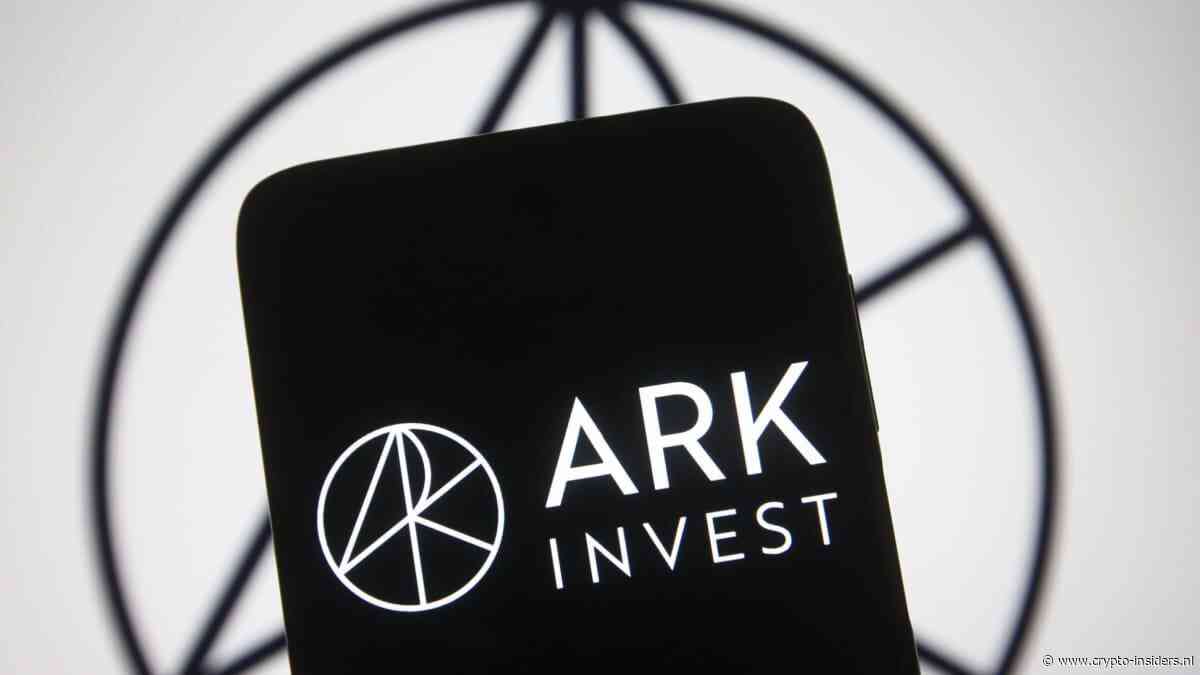 CEO ARK Invest: ‘SpaceX wordt het belangrijkste bedrijf ooit’