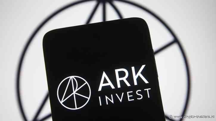 CEO ARK Invest: ‘SpaceX wordt het belangrijkste bedrijf ooit’