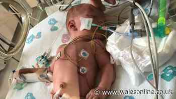 'Our baby died four years ago and we still don't know how or why'
