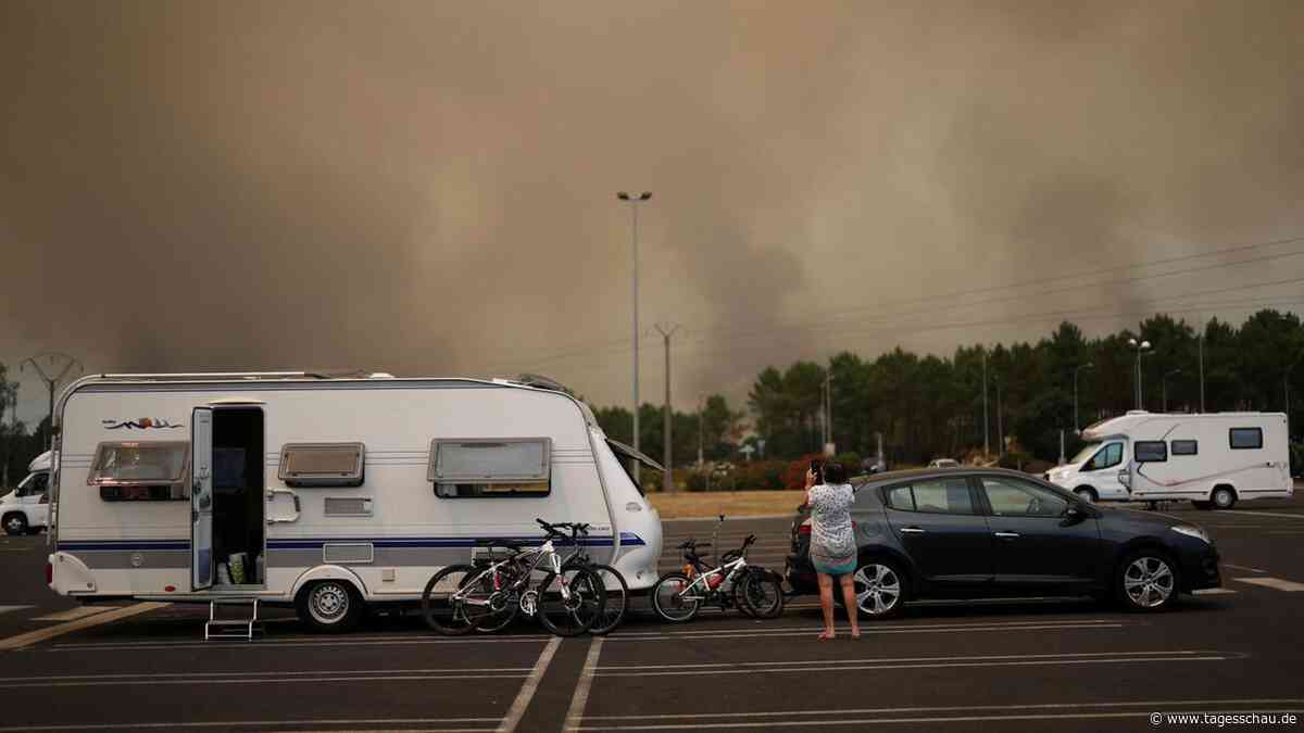 Frankreich und Spanien: Feuer wüten weiter - Campingplätze geräumt
