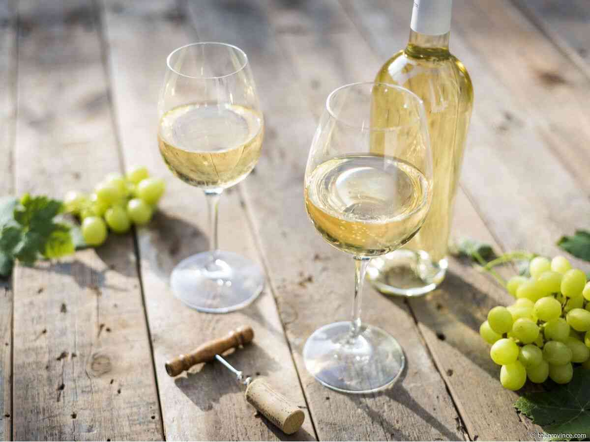 Wine Guy: Keep the summer wine vibes flowing with these three bottles