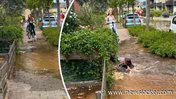 Bizar beeld: meisje gaat bijna kopje onder in diepe sinkhole in  ’s-Heerenberg