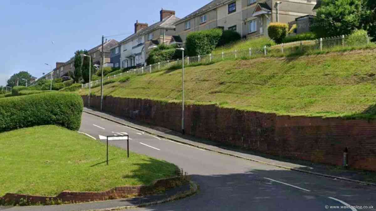 Two arrested after reports of assault in Swansea