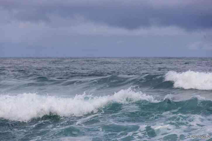 Er zit steeds minder zuurstof in ons water. En dat vormt een bedreiging voor de planeet, waarschuwen onderzoekers