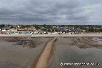 Family of mother and daughter ‘shocked and speechless’ after West Mersea deaths