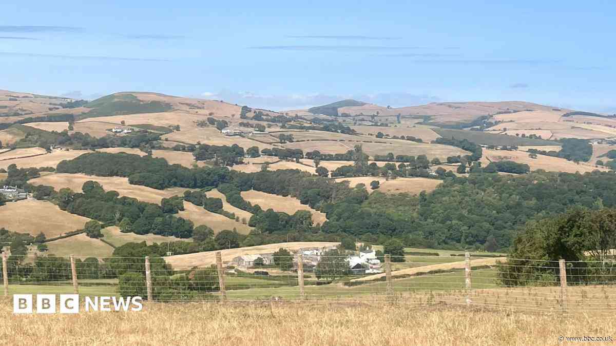 Wildfires and record dry conditions trigger drought in parts of Wales