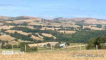 Wildfires and record dry conditions trigger drought in parts of Wales