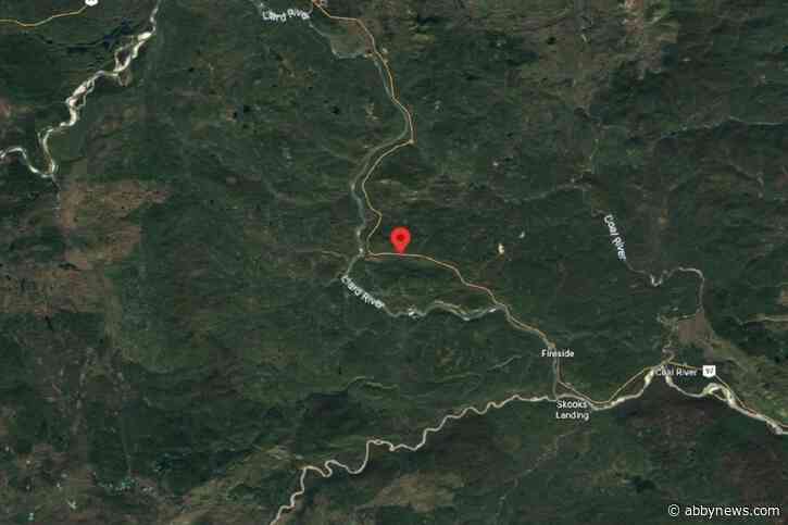 Transport truck hits bison on highway, potentially spills diesel into northern B.C. waterway