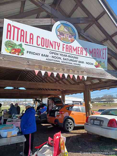 Attala County Farmers Market Looking at Parking Improvements as Attendance Grows