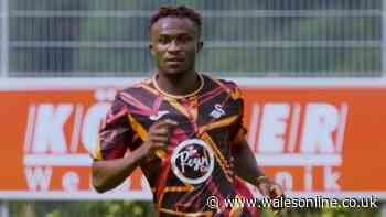 Swansea City make fourth summer signing as international winger joins