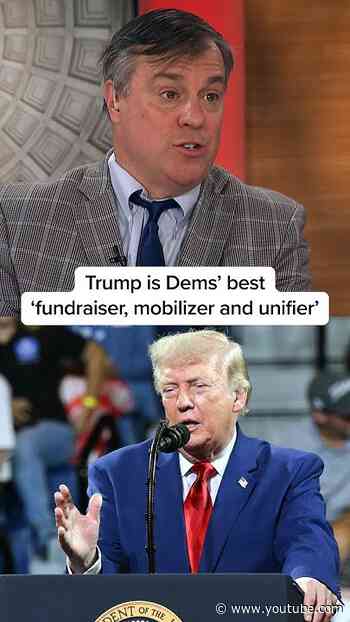 Trump is Dems’ best ‘fundraiser, mobilizer and unifier’