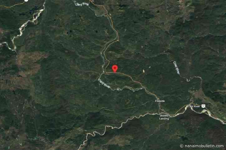 Transport truck hits bison on highway, potentially spills diesel into northern B.C. waterway