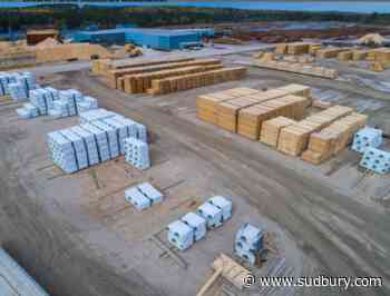 Ontario forestry group, Steelworkers react to proposed U.S. tariff escalation
