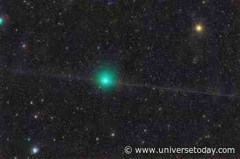 Catch Comet 10P Tempel While You Can