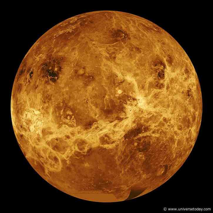 Finding Venus Zone Planets with PLATO Will Show Us How Habitable Planets Evolve