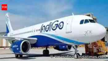 IndiGo offers crisis management plan to settle CCI probe into flight disruption case
