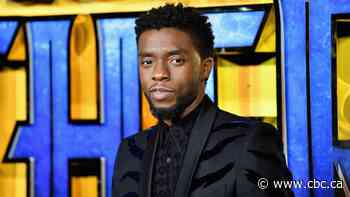 Black Panther star Chadwick Boseman's family sues his widow 6 years after his death
