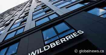Why Ukraine struck Wildberries, Russia’s largest online marketplace