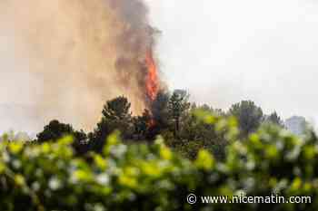 Incendies dans le Var : 500 personnes évacuées, 25 maisons détruites, reprise du feu en raison du vent... On fait le point ce jeudi soir