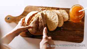 Bread will turn out fluffy and delicious if you bake with 2 ingredients