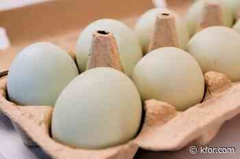 Nearly 1.6 million cartons of eggs recalled over salmonella concerns: Full list of products impacted