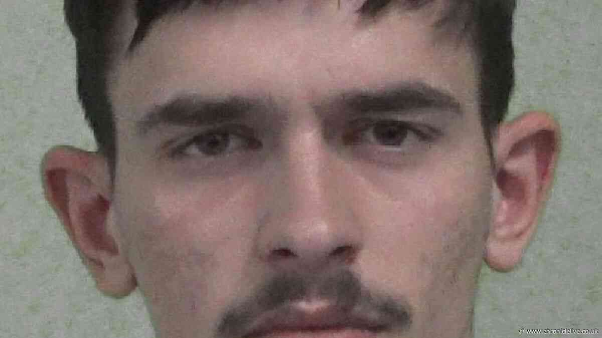 Albanian university student tourist became 'resident gardener' at large North East cannabis farm