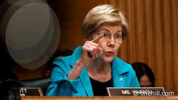 Warren presses Trump CFPB nominee on conflicts of interest, workforce cuts