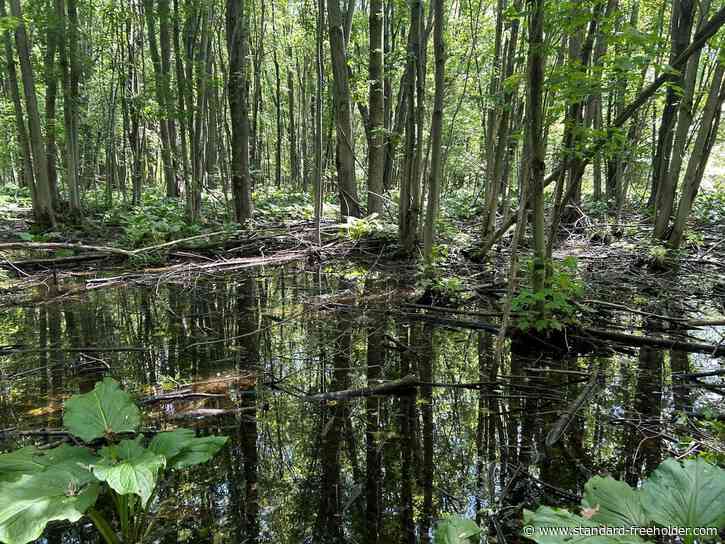 South Stormont's first official conservation area dubbed Limestone Ridge