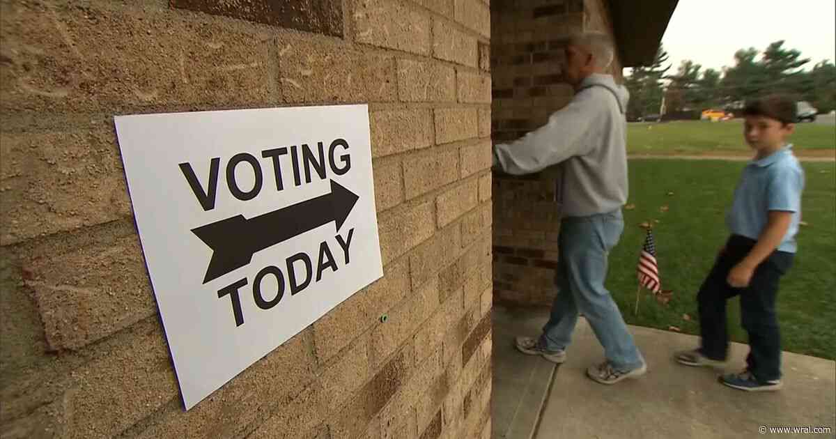 Fact-check: How popular are voter ID requirements and how common are they?