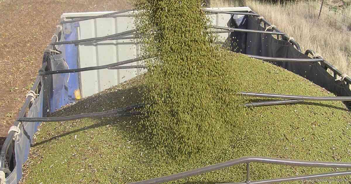 'Do the right thing': mungbeans rejected by China after failed residue tests