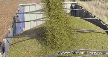 'Do the right thing': mungbeans rejected by China after failed residue tests