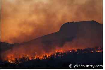 Albany County Sheriff: Fish Creek Fire 50 Percent Contained