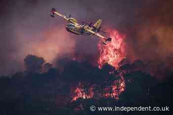 More than 20,000 evacuated as southern Europe ravaged by huge wildfires amid scorching 44C heatwave
