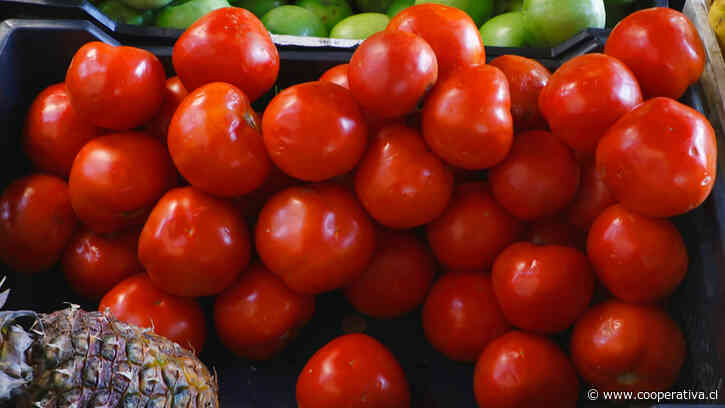 "Estaremos una semana sin comer tomates": Gobierno justifica alza de precios por cortes en carreteras
