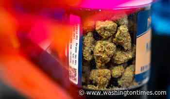 Report finds 1 in 5 workers testing positive for drugs after increased marijuana use