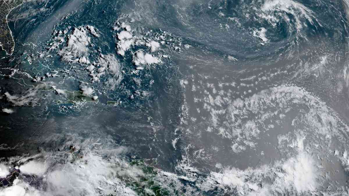 Bertha inland near the Louisiana and Texas border, quiet elsewhere