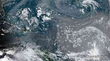 Bertha inland near the Louisiana and Texas border, quiet elsewhere