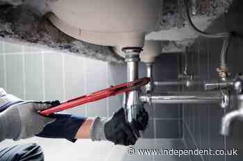 Secretary of Education Linda McMahon calls for elementary students to be put on ‘pathway’ to become plumbers