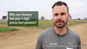 Video: Why Chasing High Prices Can Backfire on Vegetable Growers