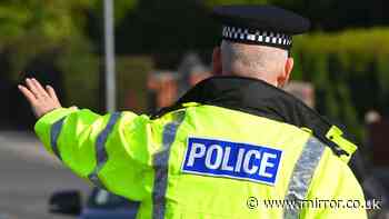 Gangs of youths with machetes terrorise Liverpool city centre as fights break out