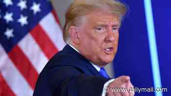Trump's battle to rewrite 2020 election pays off as staggering number of Americans who believe Biden LOST is revealed... sparking Republican backlash