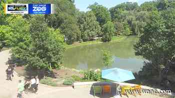 High temps on the rise and humidity to increase, too