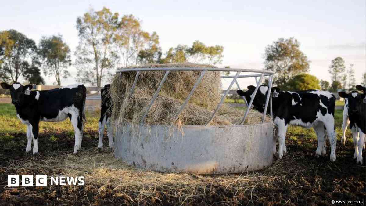 Farmer died after 'everyday lapse of judgement'