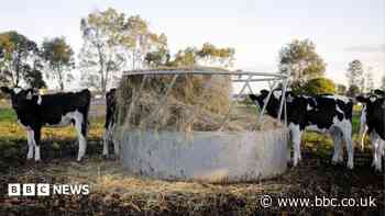 Farmer died after 'everyday lapse of judgement'