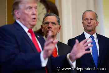 Frustrated Thune tells Trump to ‘get on the phone and get the votes’ after Leavitt swipes at Senate over voter ID